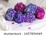 Huge Bouquet Of Purple...