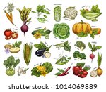 set of isolated vegetables from ... | Shutterstock .eps vector #1014069889