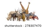 Group of africa animals...