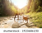 Small photo of Traveler Man trekker with him dog walk around mountains in sunny day. Backpacker walking in Outdoors. Health care, authenticity, sense of balance and calmness.