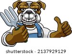a bulldog gardener cartoon... | Shutterstock .eps vector #2137929129