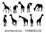 A Giraffe Animal Silhouette Set 