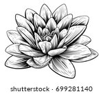 A Lotus Lily Water Flower In A...