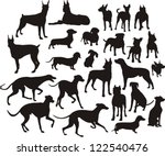 Silhouette Of The Dogs