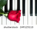 Red Rose Lying On Piano...