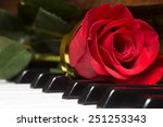 Red Beautiful Rose On Piano...