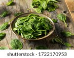 Raw Organic Fresh Baby Spinach in a Bowl