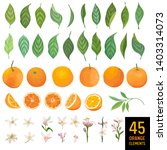 watercolor elements of oranges  ... | Shutterstock .eps vector #1403314073