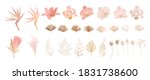 elegant dry protea flower ... | Shutterstock .eps vector #1831738600