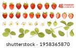 Strawberry Vector Illustration...