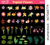 Tropical Flowers Design...