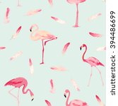 Flamingo Bird Background....