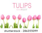 Pink Tulips Isolated On White