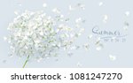 summer wind   luxurious white... | Shutterstock .eps vector #1081247270