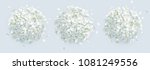 tree vector white hydrangea... | Shutterstock .eps vector #1081249556