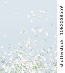 summer wind   luxurious white... | Shutterstock .eps vector #1082038559