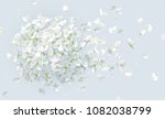 summer wind   luxurious white... | Shutterstock .eps vector #1082038799