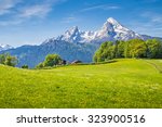 Idyllic landscape in the Alps with fresh green meadows and blooming flowers and snowcapped mountain tops in the background, Nationalpark Berchtesgadener Land, Bavaria, Germany