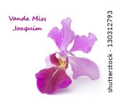 Vanda Miss Joaquim  Singapore's ...