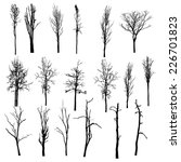 Photo of graphic winter trees | Free christmas images