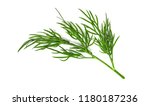 A Small Fragment Of A Dill...