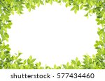 Green leaf border isolated on...