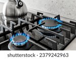 Closeup shot of blue fire from domestic kitchen stove top. Gas cooker with burning flames of propane gas. Silver pot kettle. induction stove