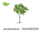 isolated green tree on white... | Shutterstock .eps vector #2026582349