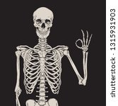 Human Skeleton Posing Isolated...