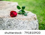 Red Rose Was Left On Gravestone ...