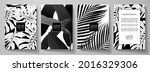 exotic black and white cover... | Shutterstock .eps vector #2016329306