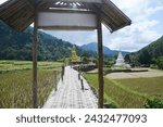 Small photo of PHRAE ,THAILAND-DEC 4 , 2023 : Entrance gate and Bamboo bridge to the white pagoda and Phra Chao Ton Luang, outdoor Buddha statue. Sitting prominently in the middle of a rice field at Na Khuha Temple.