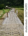 Small photo of Scenic view of the bamboo bridge to the village. Passing through the middle of rice fields is a beautiful natural place. Located in Phrae Province, Thailand.