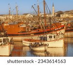 Small photo of LAMBERT'S BAY, SOUTH AFRICA - APRIL 22, 2023: Fishing boats and Cape cormorants in the harbour at Lambert's Bay, a small fishing town in the Western Cape province of South Africa.