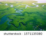 Gambia Mangroves. Aerial View...