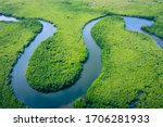 Aerial view of Amazon rainforest in Brazil, South America. Green forest. Bird