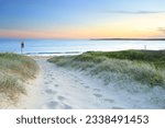 Small photo of Soft sandy track leading down to Greenhills Beach Bate Bay at sundown. South Sydney Australia.