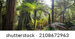 Small photo of New Zealand tropical jungle forest. Green natural background