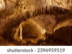Carlsbad caverns national park...