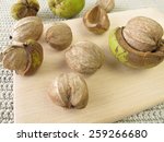 Shellbark Hickory Nuts