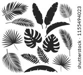 set vector silhouettes tropical ... | Shutterstock .eps vector #1155494023