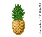 pineapple vector illustration... | Shutterstock .eps vector #1919096609