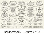 calligraphic design elements .... | Shutterstock .eps vector #370959710