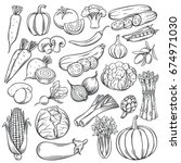 vector hand drawn vegetables... | Shutterstock .eps vector #674971030