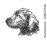 sketch of puppy dog head hand... | Shutterstock .eps vector #238021966