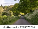 Cotswold Lane In Spring Near...
