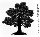 summer landscape oak tree with... | Shutterstock .eps vector #505323070