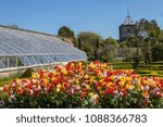 Small photo of ARUNDEL, UK - MAY 5TH 2018: View of the beautiful Tulips in one of the gardens at Arundel Castle in West Sussex, on 5th May 2018. A Victorian glasshouse and the Fitzalan Chapel are in the background