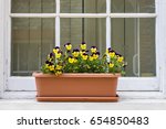 A Tub Of Pansies On A Window...