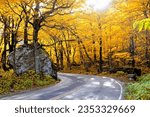 Small photo of Vibrant autumn colors in the sun with winding Smuggler's Notch road, Vermont, USA